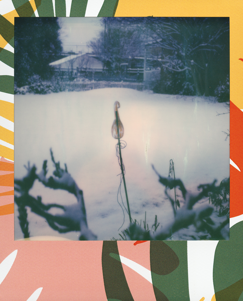 FEDYNAK_LASTSNOWSPOLA_4