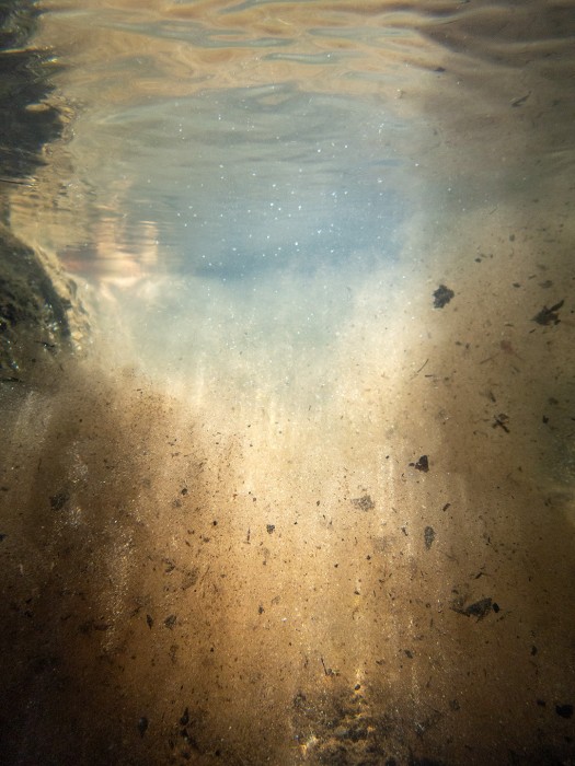 G. Ludeker_2.46.29(August 26 2023)