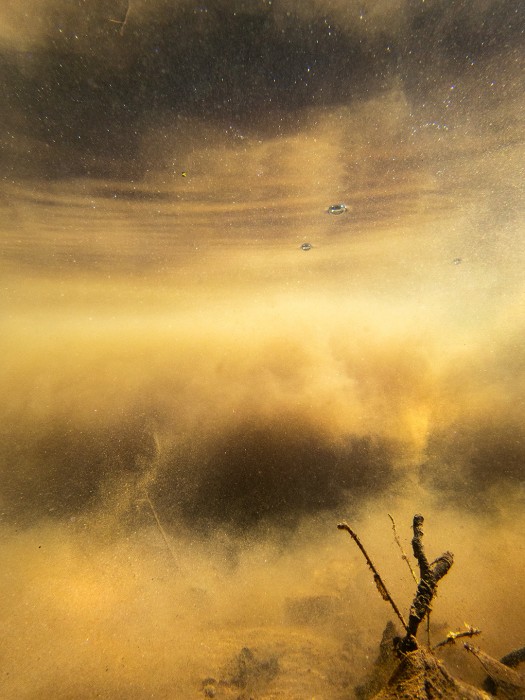 I. Ludeker_8.34.25(August 3 2022)