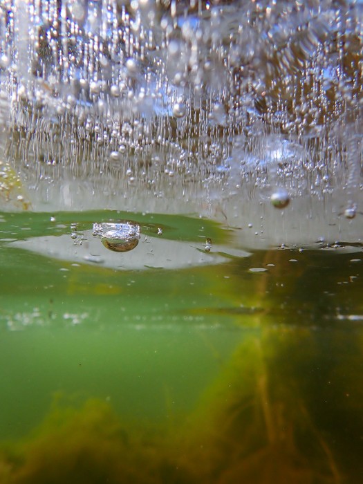 K. Ludeker_1.54.57(January 22 2022)