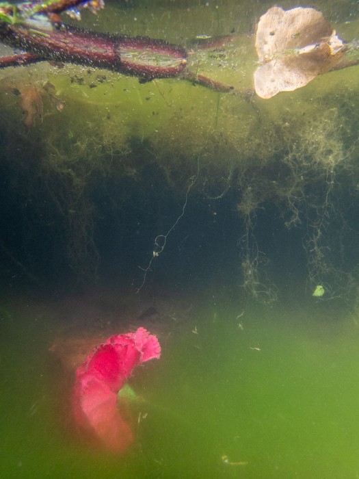 L. Ludeker_11.34.35(July 16 2023)