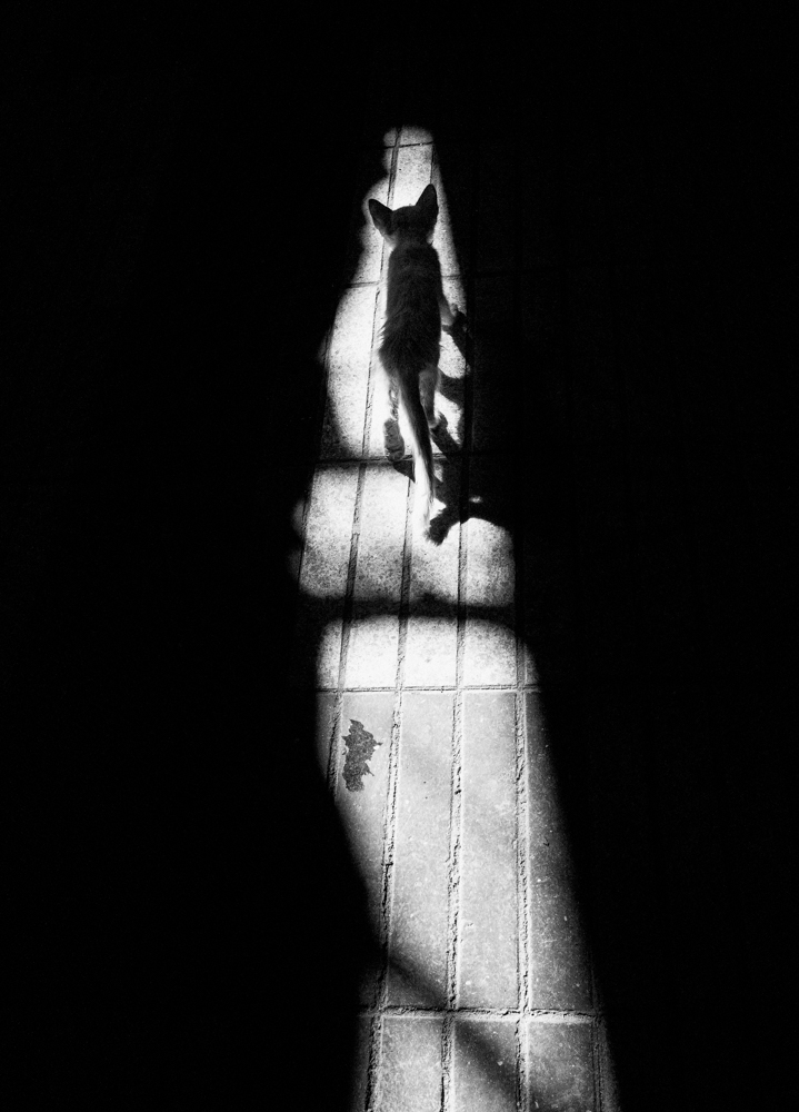 LouisJay_Marrakech-Face-To-Face-12