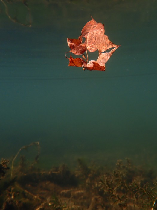 N. Ludeker_1.01.07(January 10 2022)