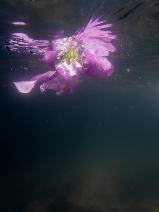 O. Ludeker_1.14.51(August 19 2023)