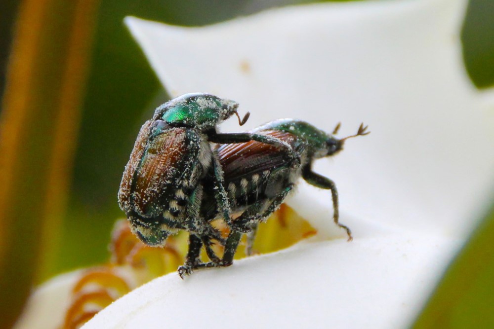 callMeInTheMorning-Mark_Moore - Mark Moore