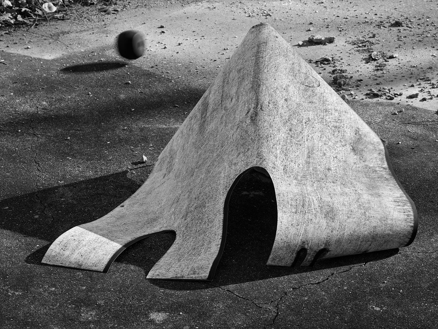 01_LaBelle_Max_Alumni