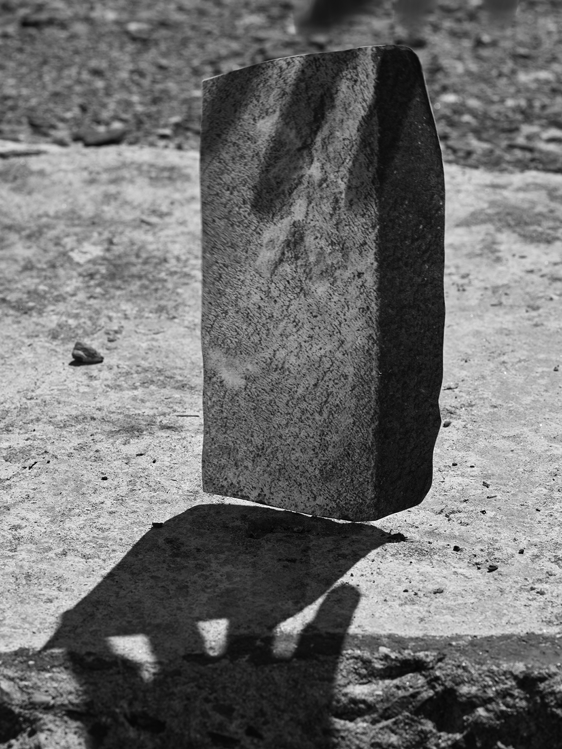 02_LaBelle_Max_Alumni