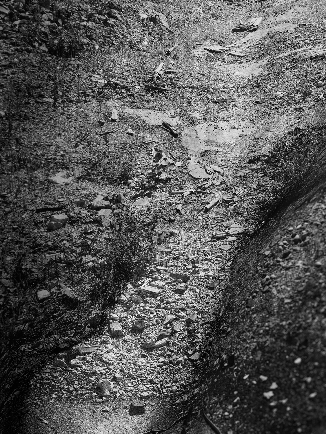 03_LaBelle_Max_Alumni