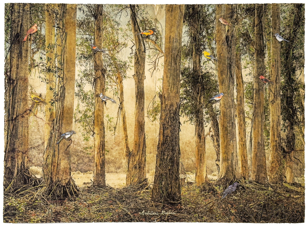 11_Audubon's Garden 2023 jpg