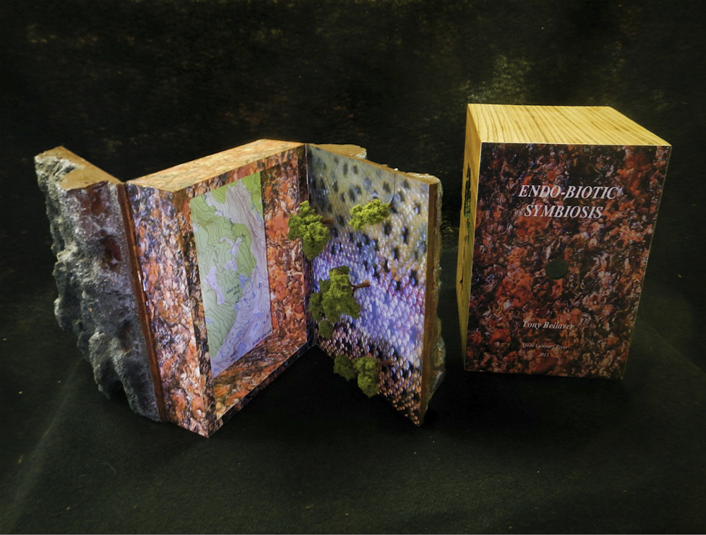 5_Endobiotic Symbiosis 2015