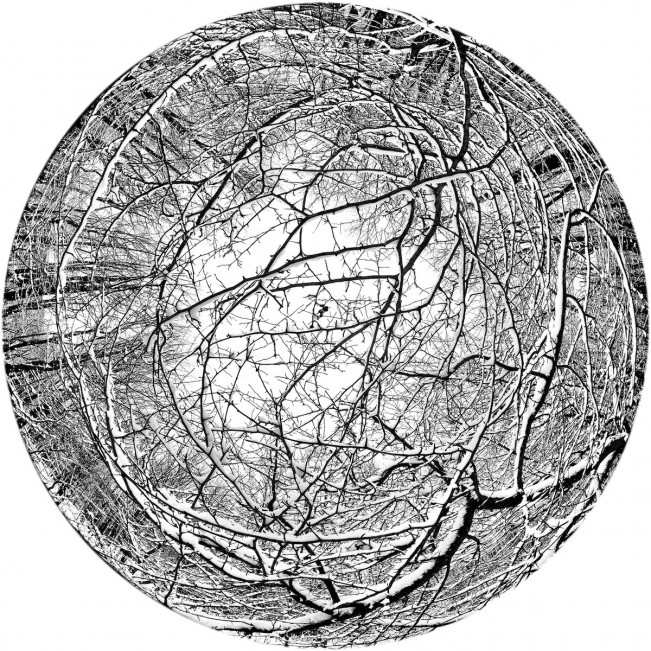 - Bryan Whitney 202609 Crown of Hawthorn