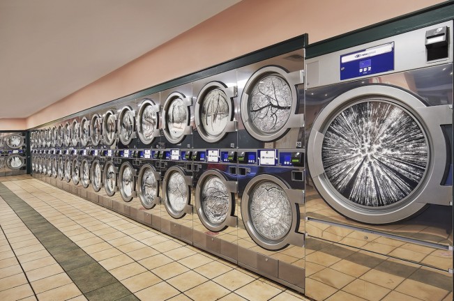 - Bryan Whitney 202611 La La Laundry