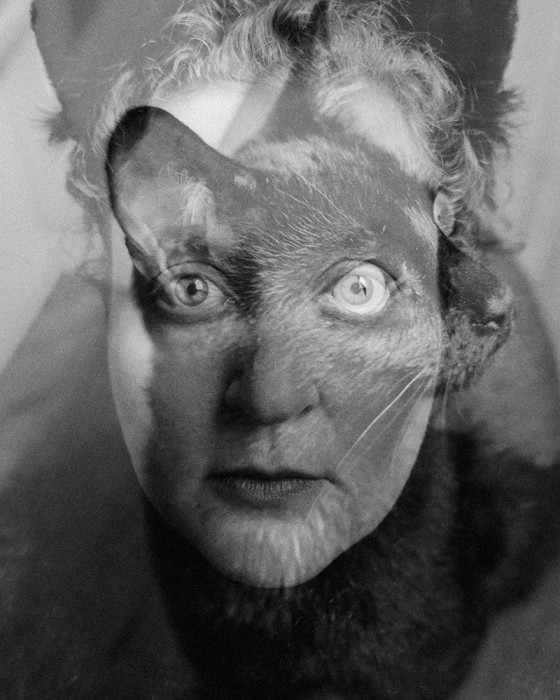 ©Daniella Fishburne, Becoming Her Shadow, @madfishart, https://madfishart.com