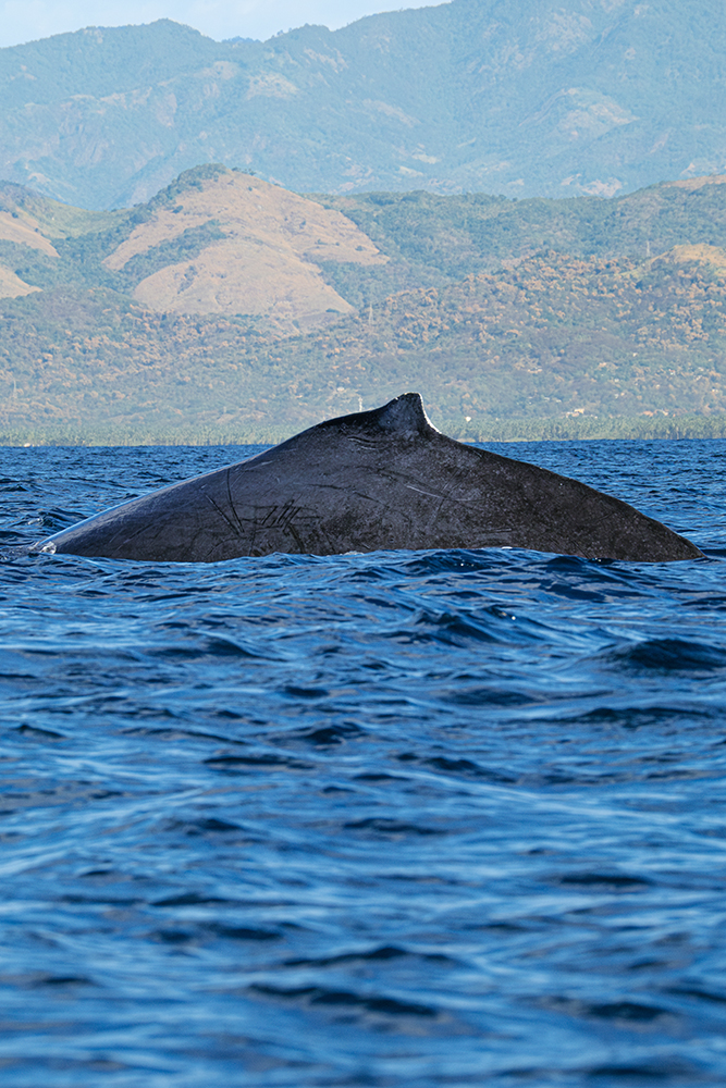 Muniz_DSCF2886_Mejorado_NR