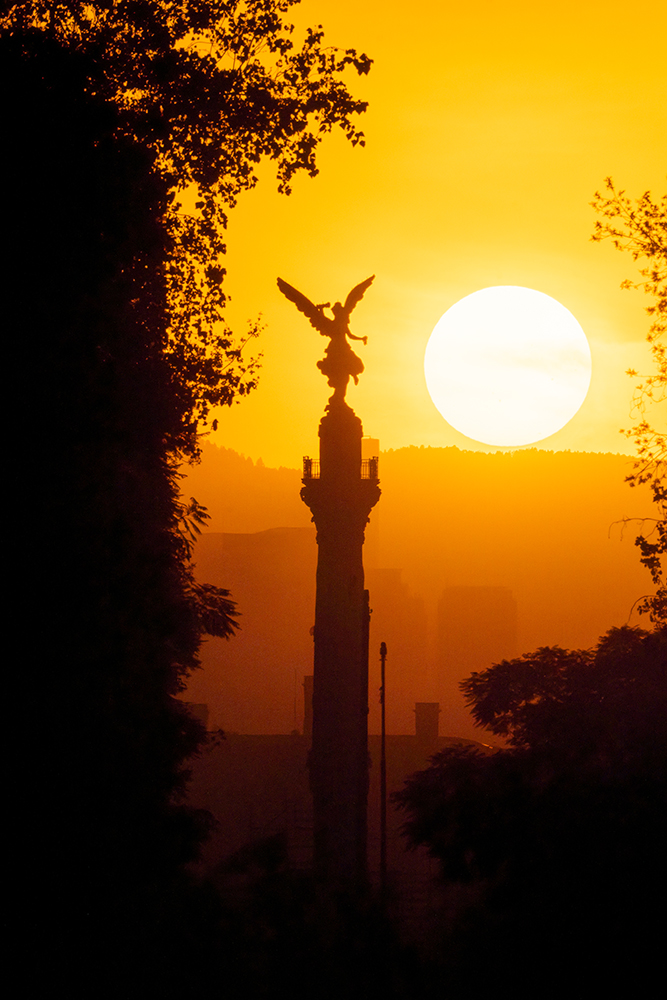 Muniz_El_Angel_Dorado_copy