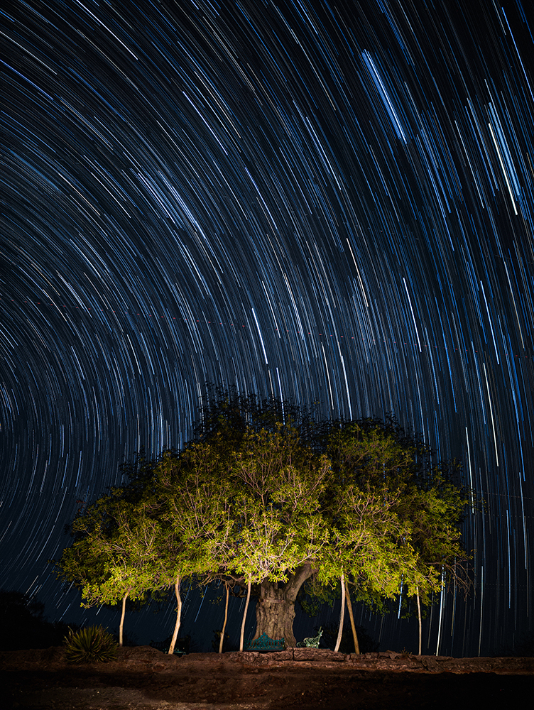 Muniz_Stars_Trail_Oaxaca copy