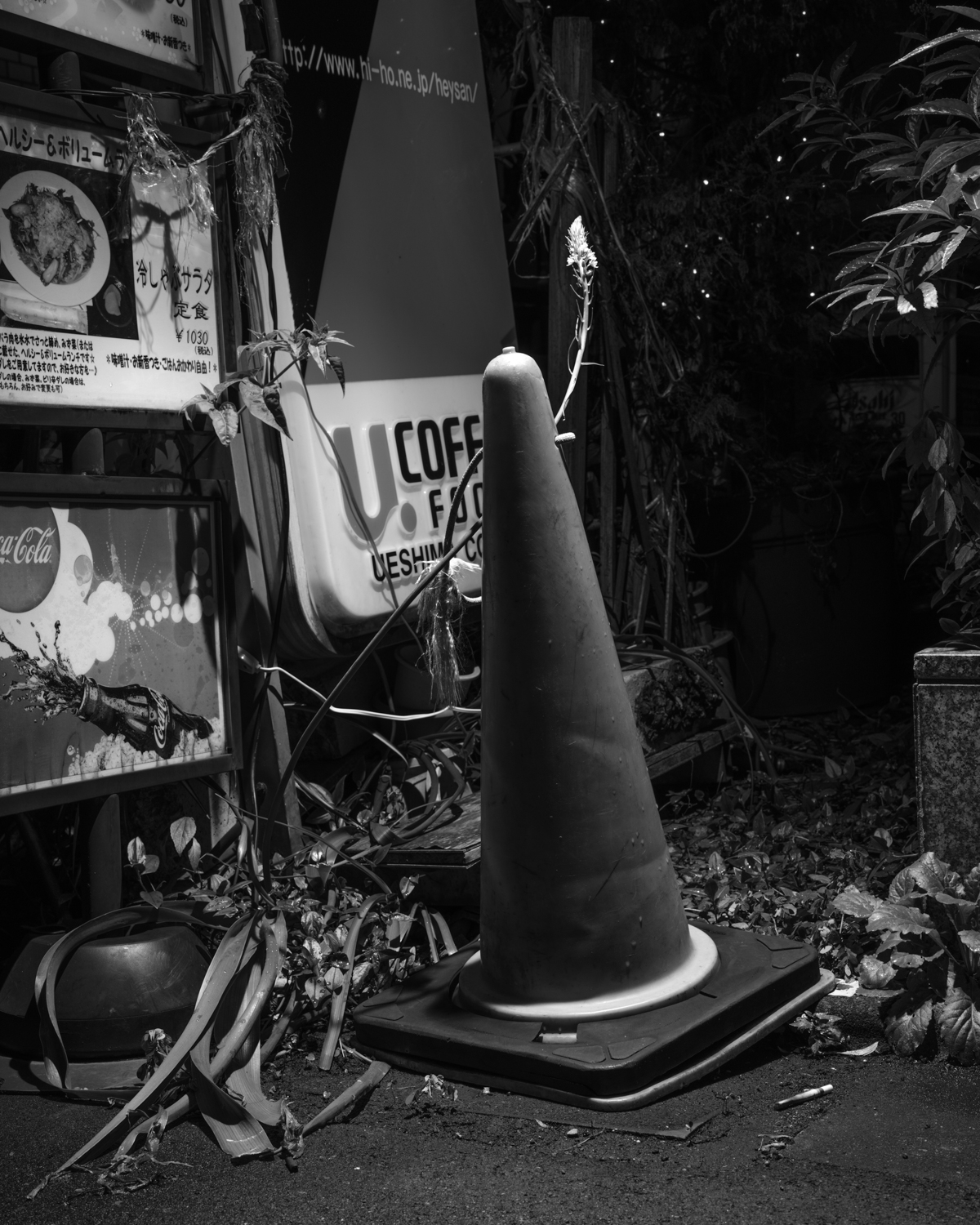 _Vahrenwald_Michael_Faculty001