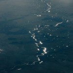 ElReyBlanco_MaximilianoTineo_ (1)