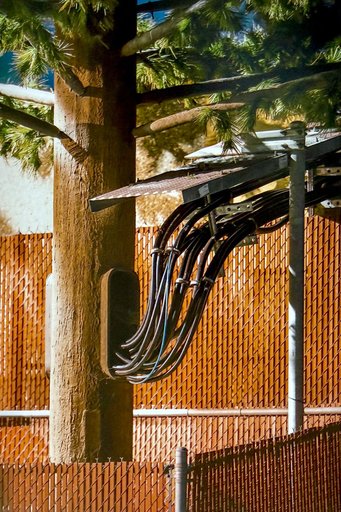 Kaya & Blank, Second Nature, published by Kehrer Verlag in 2022. Overshoot #11 with Yogan Muller