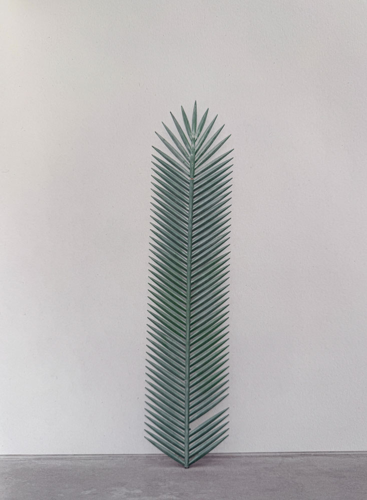 Kaya & Blank, from the series Second Nature Overshoot #11 with Yogan Muller