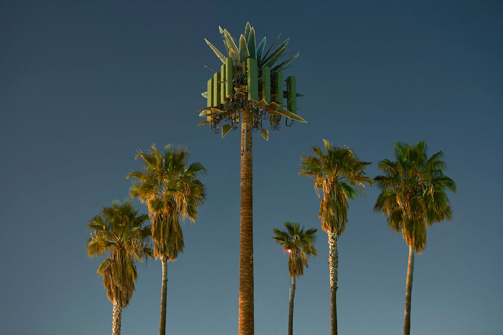 Kaya & Blank, Second Nature Overshoot #11 with Yogan Muller