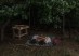 Sadler_Missing Home_00001