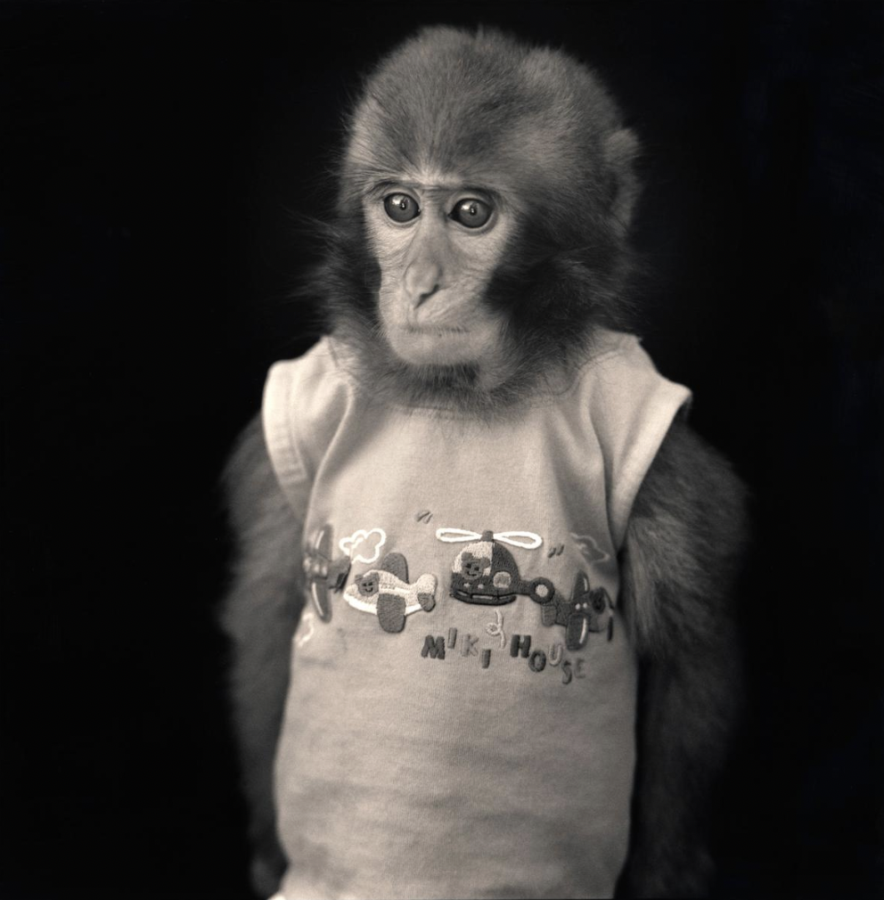 Screen Shot 2026-03-29 at 3.54.22 PM