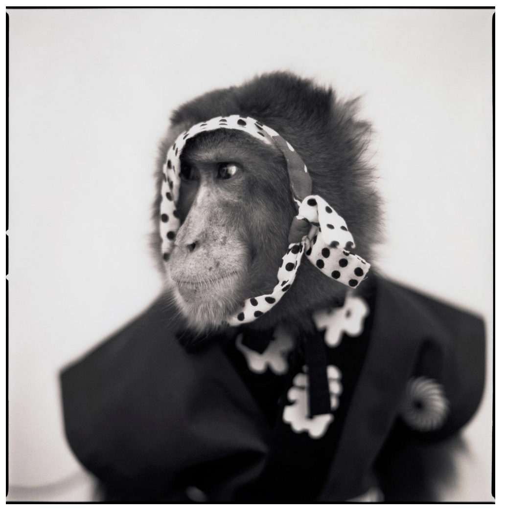 Screen Shot 2026-03-29 at 3.55.07 PM