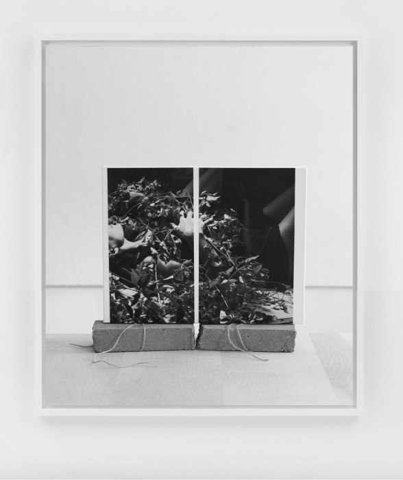 Cozette Russell, Earthly Places, 2026
