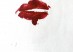 Panas_Lipstick _(8952)
