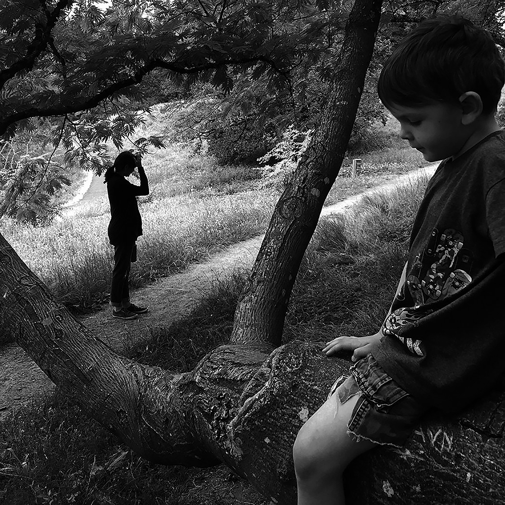 © Brian Padian, Exasperation, 2023, @ brianpadian, northernflickerfilms - Brian Padian