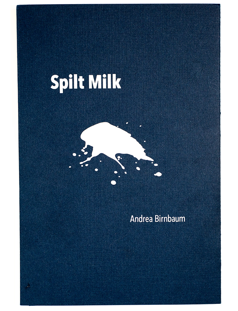 Birnbaum_Book Cover