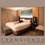 Goldstein_Transience9