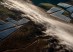 Stillings_20170714_19207