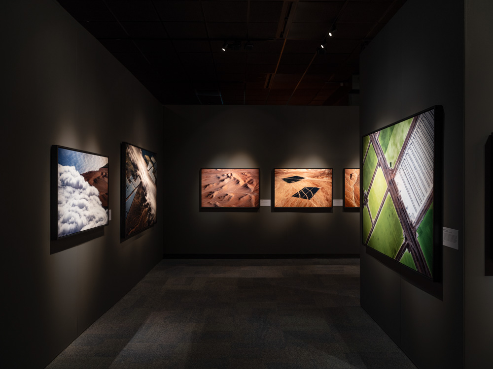 Stillings_ATACAMA_at_HMNS-4