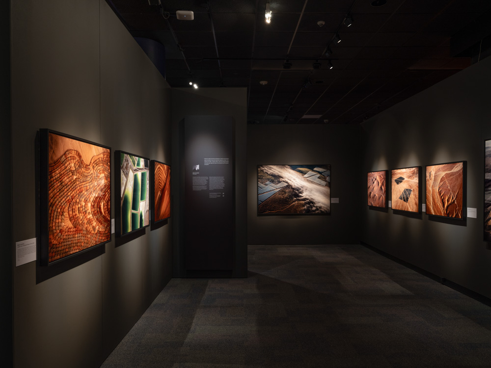 Stillings_ATACAMA_at_HMNS-5