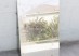 Yogan Muller, Mirror (Telotype #3), Muirfield Road, Crenshaw, October 2019. Copyright: Yogan Muller