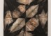 01_Lee_Cadastral_(Error I)