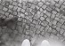 Bobba_Sem_Titulo#01