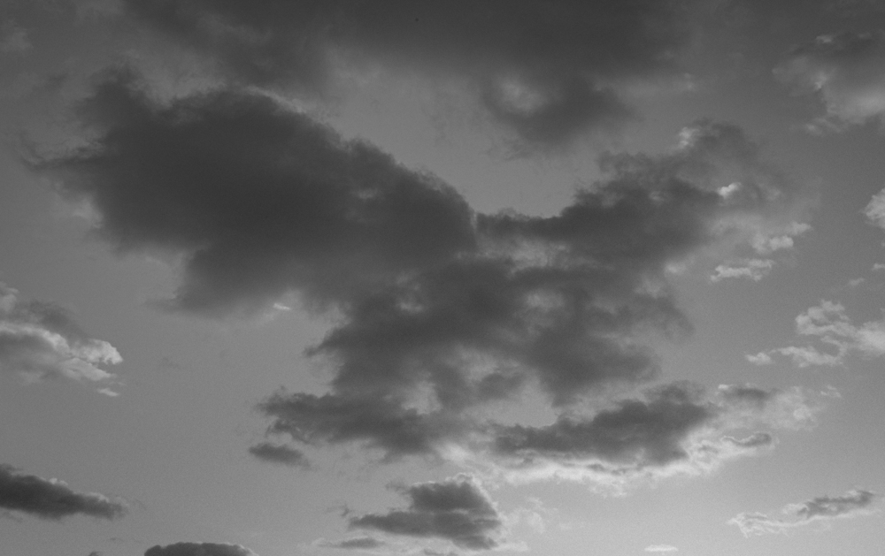 Bobba_Sem_Titulo#04