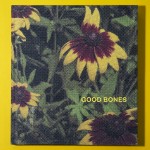 Good bones squared cover 2