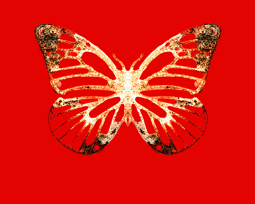 Kauffmann_The_111th_Butterfly