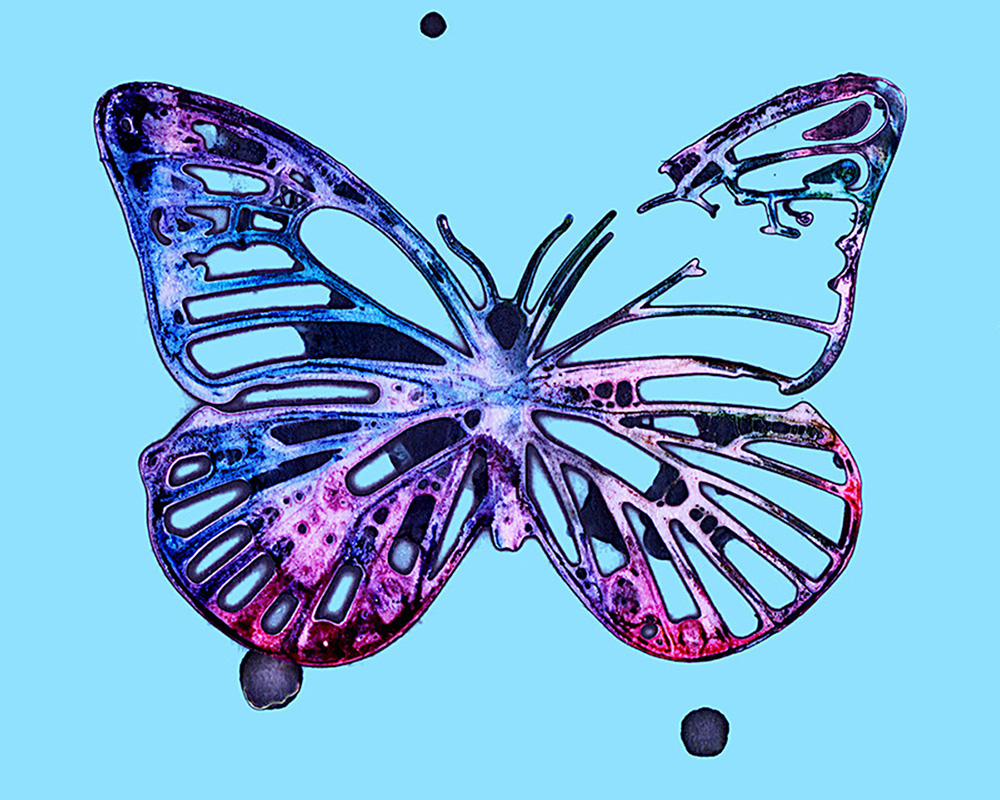 Kauffmann_The_120th_Butterfly