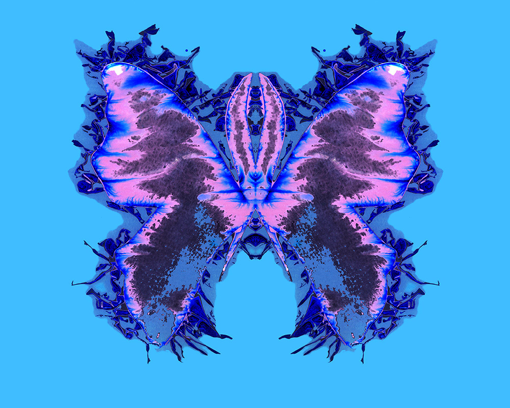 Kauffmann_The_121st_Butterfly