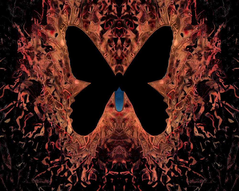 Kauffmann_The_170th_Butterfly