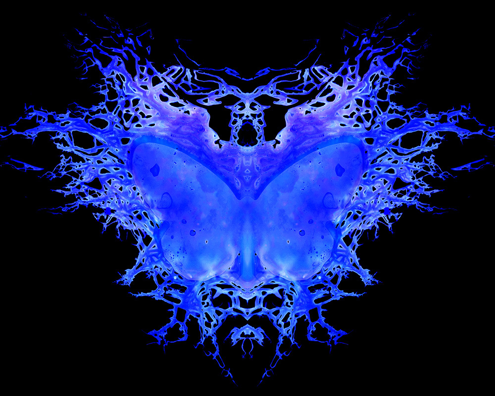 Kauffmann_The_171st_Butterfly