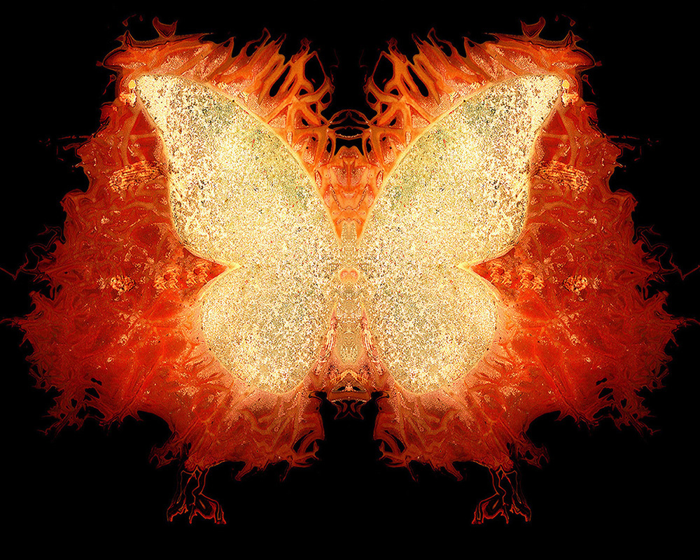 Kauffmann_The_54th_Butterfly