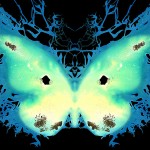 Kauffmann_The_6th_Butterfly