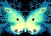 Kauffmann_The_6th_Butterfly