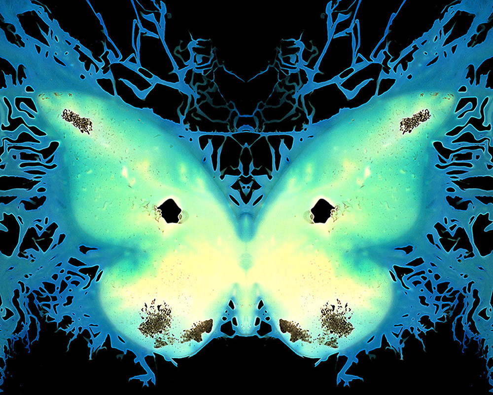 Kauffmann_The_6th_Butterfly